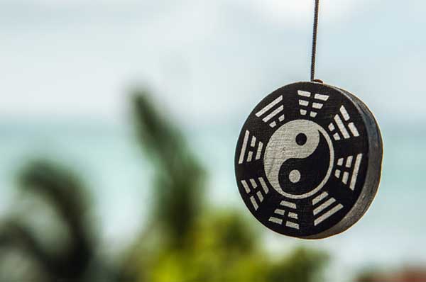 镇宅又聚财的花 鸿运当头很适合