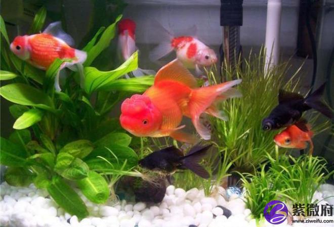 1575091876675878.jpg timg.jpg