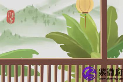 家庭植物摆放与风水的关系