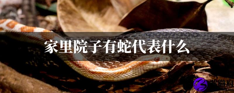 家里院子有蛇代表什麽预兆