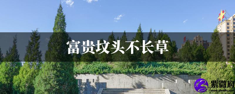 富贵坟头不长草