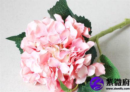 家里摆仿真花风水好不好