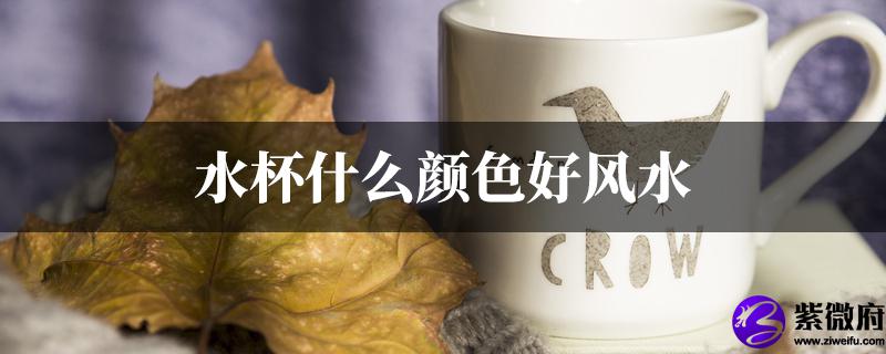 水杯什麽颜色好风水